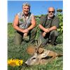 Image 7 : Serbian Roe Deer Hunt for 2 hunters