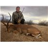 Image 10 : South African - Plains Game Hunt for 2 Hunters