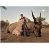 Image 1 : Namibian Traditional On Foot Eland Hunt for 1 hunter & 1 non hunter