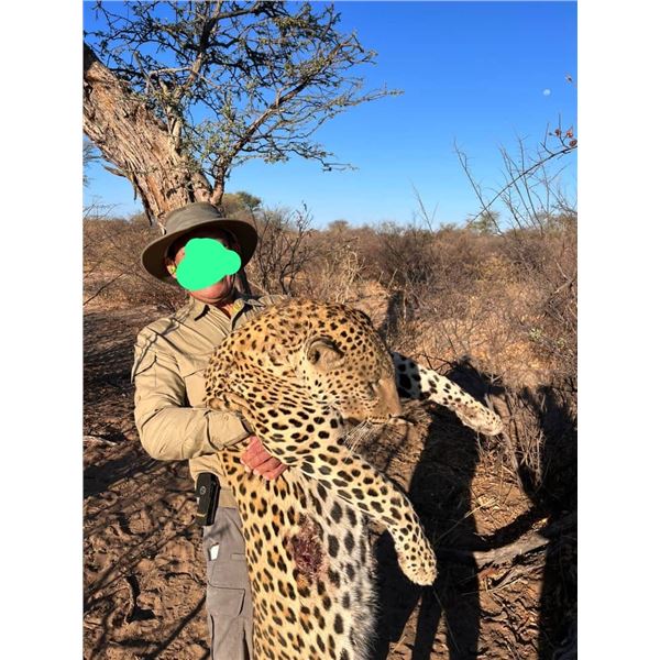 Namibian Baited Leopard Hunt for 1 hunter