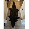 Image 1 : Large American Alligator Hide