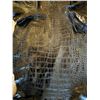 Image 2 : Large American Alligator Hide
