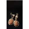 Image 1 : PAIR APPROX 10K EARRINGS SET WITH GOLDSTONES (6.7G)