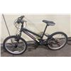 Image 3 : 2 BIKES: INFINITY CRAZYHORSE HT20 BLACK 6 SPEED CHILDRENS BIKE & NORCO GREY 12 SPEED FRONT