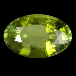 .95ct Ultimate Green Mozambique Tourmaline Unheated  (GEM-12993)