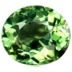 1.04ct Incredible Oval Cut Green Apatite (GEM-13107)