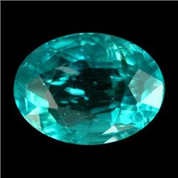1.0ct Green Apatite Spectacular Brazil (GEM-13347B)