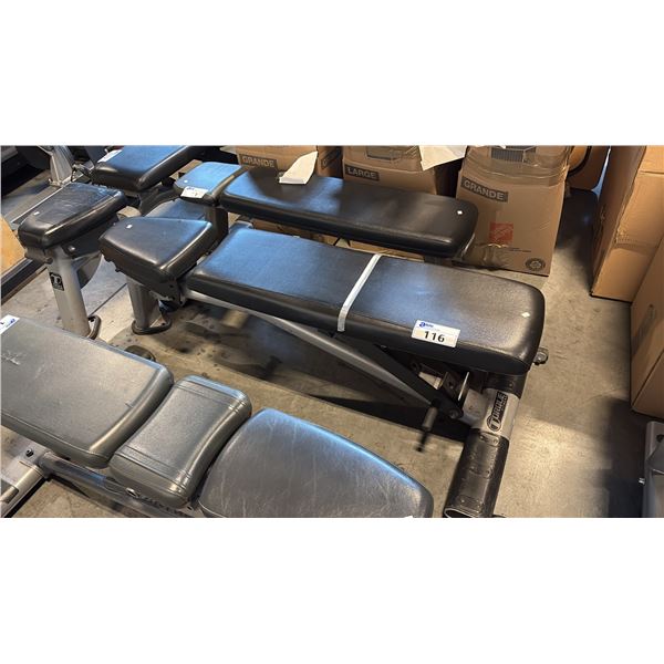 TORQUE FITNESS ADJUSTABLE WORKOUT BENCH