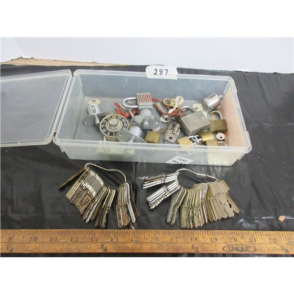 Assorted Locks with Keys and Extra Keys