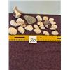 Image 1 : 24 Asst. Sea Shells.