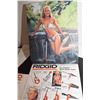 Image 4 : Ridgid pin up calendar