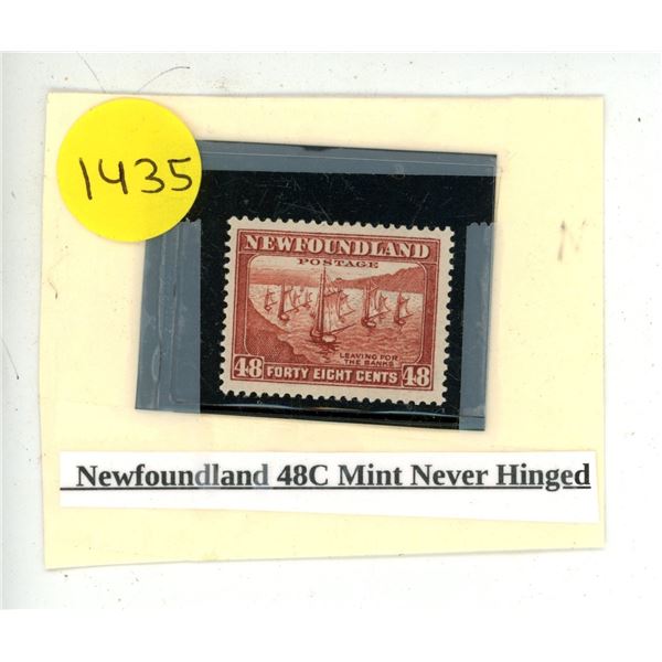 Newfoundland 48C Mint Never Hinged.