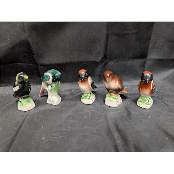 5 Tender Leaf Tea Birds (bobolink, Magpie, (2) Bay Berated and Red tail)