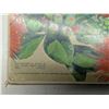 Image 6 : 1963 Album For Tropical Birds Brooke Bond (Complete) (Trade Card Album)