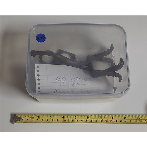 One- One Hundred Year Old Mole Trap