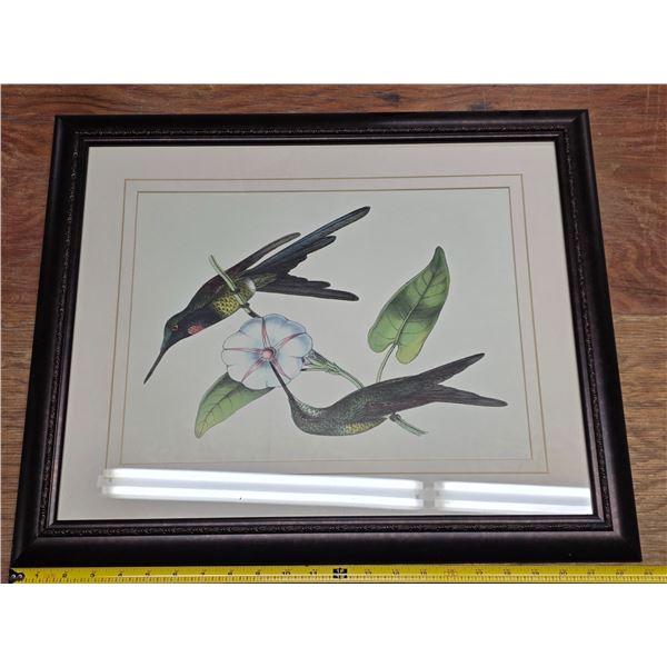 Picture of humming birds- 23" by 19"