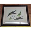 Image 1 : Picture of humming birds- 23" by 19"