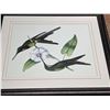 Image 2 : Picture of humming birds- 23" by 19"