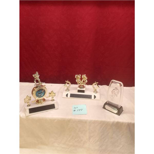 **Hockey Trophy Collection – Perfect for the Ultimate Fan or Player!** - Up for auction is 