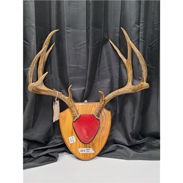 "deer antler mount" 1968 resident deer seal (48860)