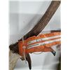 Image 3 : "elk antler set" 2013