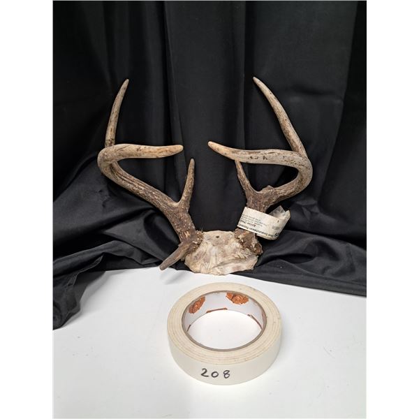 "white tail antler set" 2009