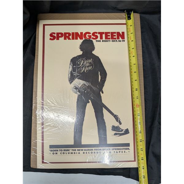 Springsteen Concert Poster