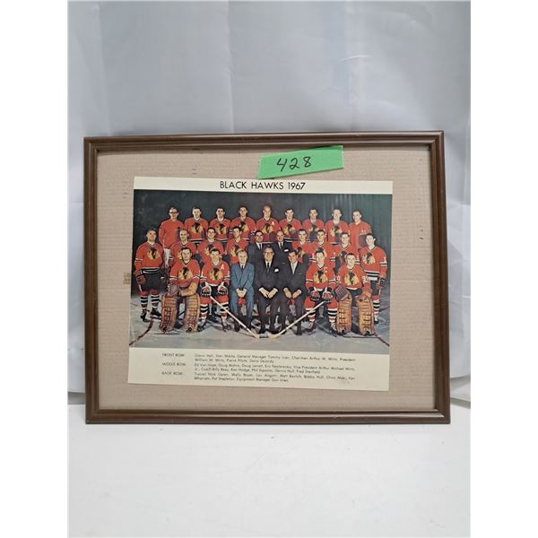 Black hawks 1967 framed team photo original glossy photo 15/12”