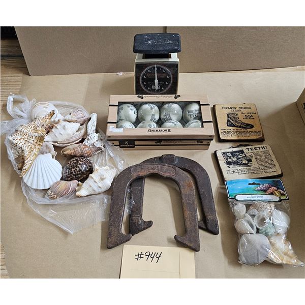 Misc Lot. Seashells, (2) Horse Shoes, Scale, etc.