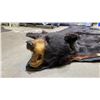 Image 3 : BEAR SKIN AREA RUG 75"L X 75"W