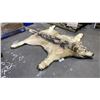Image 1 : WOLF SKIN AREA RUG - 78"L X 66"W