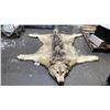 Image 2 : WOLF SKIN AREA RUG - 78"L X 66"W
