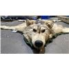 Image 4 : WOLF SKIN AREA RUG - 78"L X 66"W