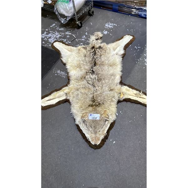 COYOTE PELT AREA RUG - 63"L X 48"W