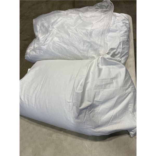 2 KINGSIZE ORGANIC BUCKWHEAT PILLOWS