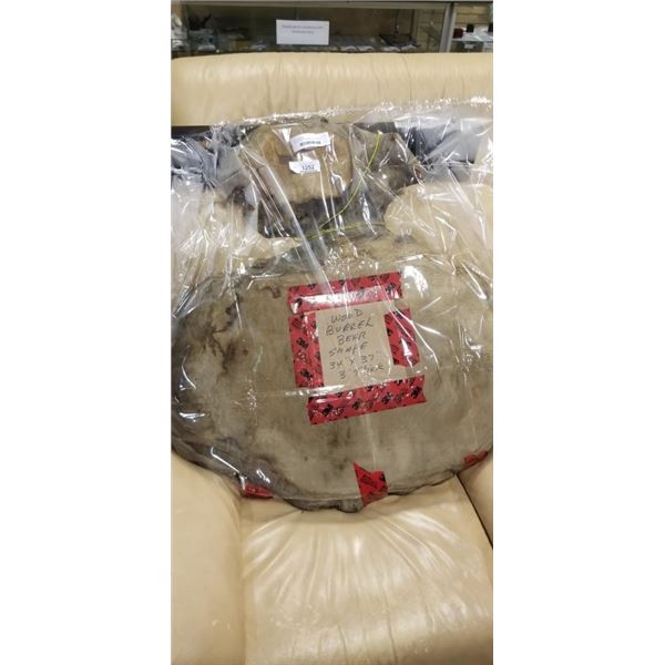 WOOD BURL, RESEMBLES A BEAR, 34 X 37 AND 3 INCH THICK