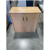 Image 1 : 2 DOOR STORAGE CABINET