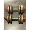 Image 1 : PAIR OF YORK DUMBELLS, 10 LB EACH