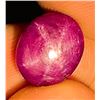 Image 2 : 9.94 CT CERTIFIED BURMESE STAR RUBY GEMSTONE UNTREATED ($12,250 APPRAISAL)