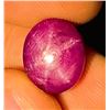 Image 3 : 9.94 CT CERTIFIED BURMESE STAR RUBY GEMSTONE UNTREATED ($12,250 APPRAISAL)