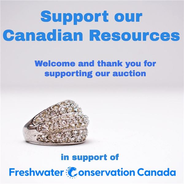 WELCOME TO THE AUCTION