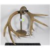 Image 1 : DEER ANTLER LAMP