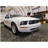 Image 8 : PARKSVILLE - 2007 FORD MUSTANG, WHITE, 174702 KMS, REAR WHEEL DRIVE. - D267925