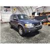 Image 8 : PARKSVILLE - 2004 FORD ESCAPE, BLUE, 288537 KMS, FOUR WHEEL DRIVE. - JB04271