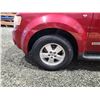 Image 31 : PARKSVILLE - 2008 FORD ESCAPE, RED, 300656 KMS, FRONT WHEEL DRIVE. - DB11634
