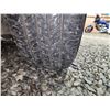 Image 29 : PARKSVILLE - 2001 MAZDA MPV, GREEN, 246915 KMS, FRONT WHEEL DRIVE. NO RESERVE. - D176563