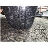 Image 28 : PARKSVILLE - 2009 CHEVROLET AVEO LS, BLACK, 176513 KMS, FRONT WHEEL DRIVE. - P349226