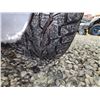 Image 30 : PARKSVILLE - 2013 FORD FIESTA, BLUE, 180992 KMS, FRONT WHEEL DRIVE. - J141679