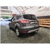 Image 20 : PARKSVILLE - 2013 FORD ESCAPE, GREY, 169635 KMS, FOUR WHEEL DRIVE. - DB57529