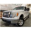 Image 1 : PARKSVILLE - 2009 FORD F150, WHITE, 203700KMS, 4WD - DB29189